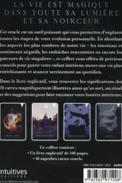 Shadow Work. Révélez votre part d'ombre. 36 cartes oracles et 1 livret, Fiona Horne