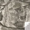 Silvae sacrae. La forêt des solitaires, Philippe Luez