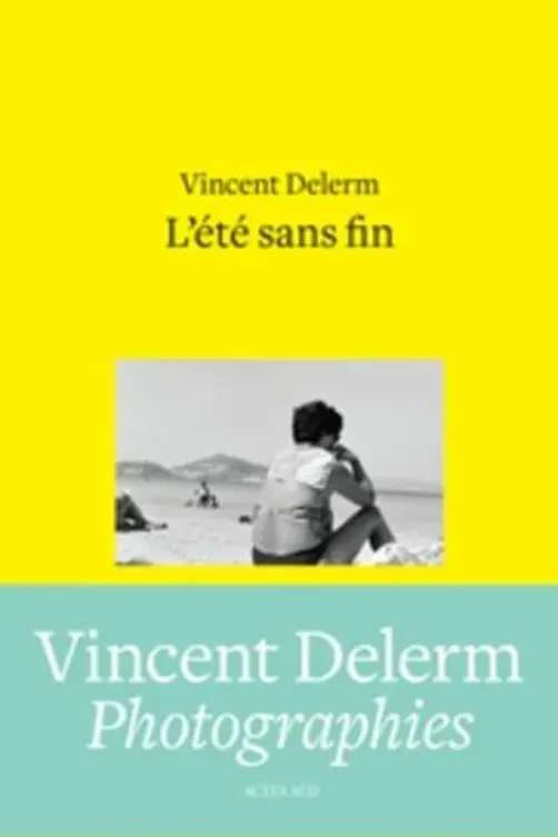 Songwriting ; L'été sans fin ; C'est un lieu qui existe encore, Vincent Delerm