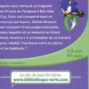 Sonic Prime Tome 3 : La loi de la jungle, Sega