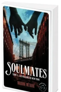 Soulmates Tome 1 : Les voleurs de New York, Maurine Métairie