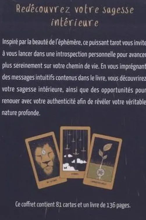 Tarot de la lumière éphémère, Ari Wisner