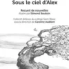 Tempêtes. Sous le ciel d'Alex, Collège Saint-Blaise