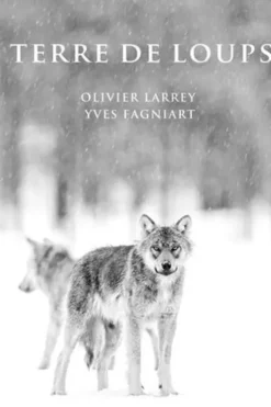 Terre de Loups. Land of Wolves, Edition bilingue français-anglais, Olivier Larrey
