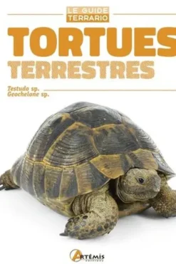 Tortues terrestres, E-J Pirog