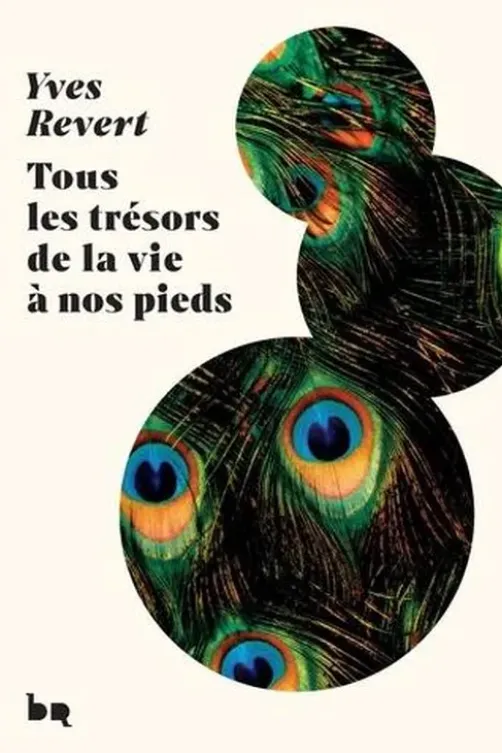 Tous les trésors de la vie à nos pieds, Yves Revert