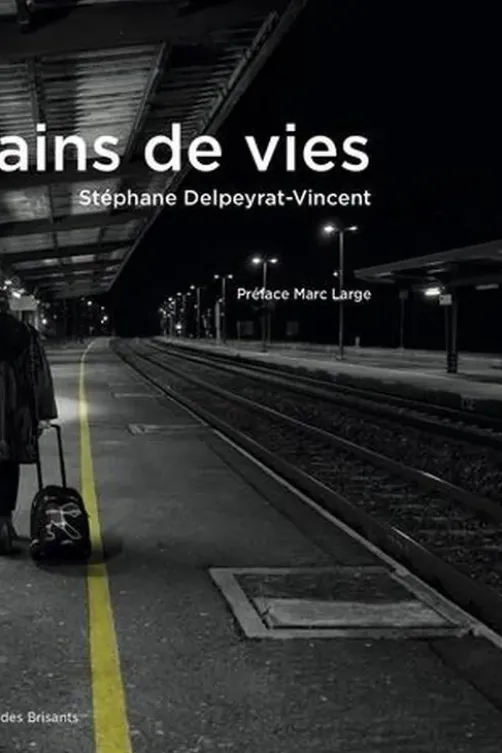 Trains de vies, Stéphane Delpeyrat-Vincent