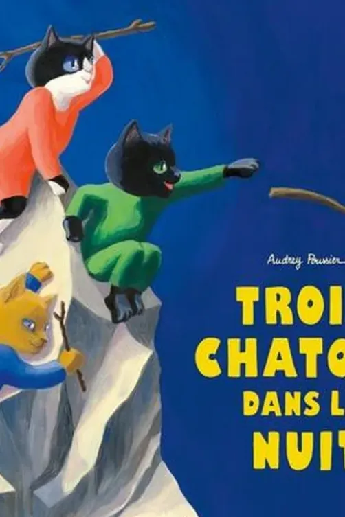 Trois chatons dans la nuit, Audrey Poussier