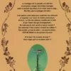 Tête de Pioche Tome 4 : La course des hauteurs, Frédéric Brrémaud