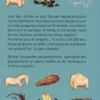 Une année avec Sapiens, Nicolas Teyssandier