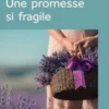 Une promesse si fragile [EDITION EN GROS CARACTERES, Nicole Provence