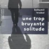 Une trop bruyante solitude, Bohumil Hrabal