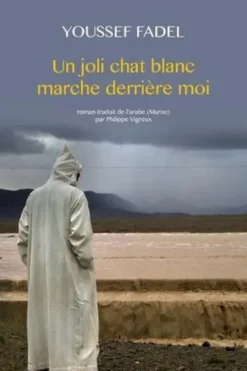 Un joli chat blanc marche derrière moi, Youssef Fadel