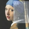 Vermeer, John Michael Montias