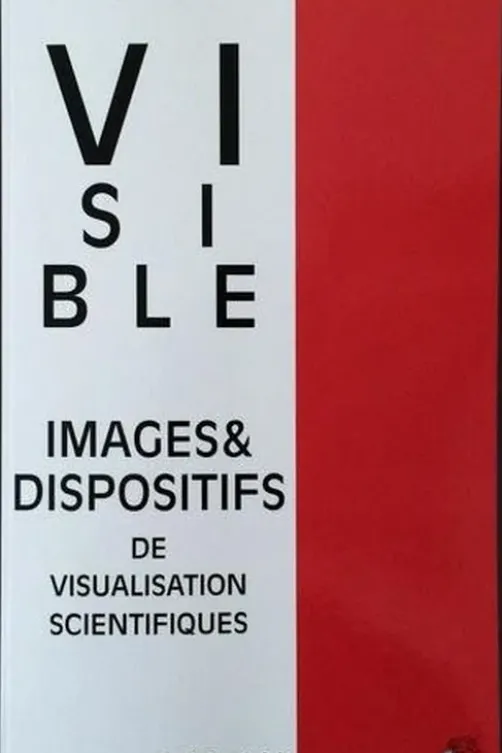 Visible N°11, 2014 : Images et dispositifs de visualisation scientifiques, Vivien Lloveria
