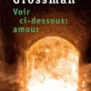 Voir ci-dessous, amour, David Grossman