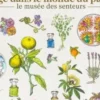 Voyage dans le monde du parfum. Le musée des senteurs, Mandy Aftel